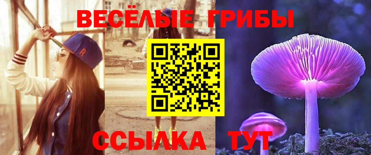Псилоцибиновые грибы Magic Shrooms Симферополь